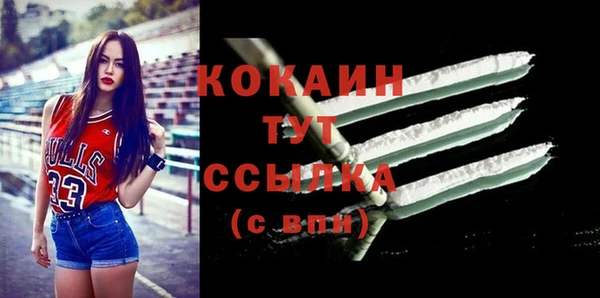 спиды Горняк