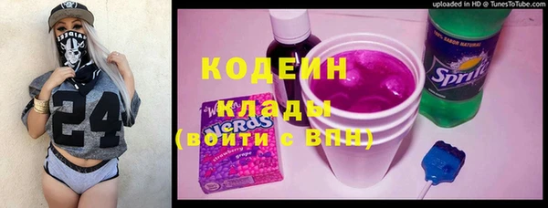 спиды Горняк